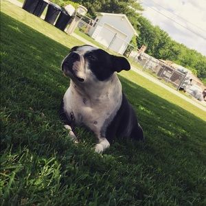 Meet your Posher, Nathan